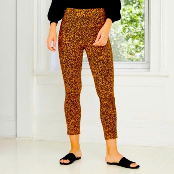 WHO WHAT WEAR baby leopard high rise cropped pants size 8, 10 NWT - Picture 1 of 4